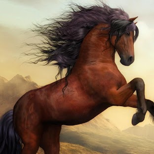 Horse Wallpapers HD 4K